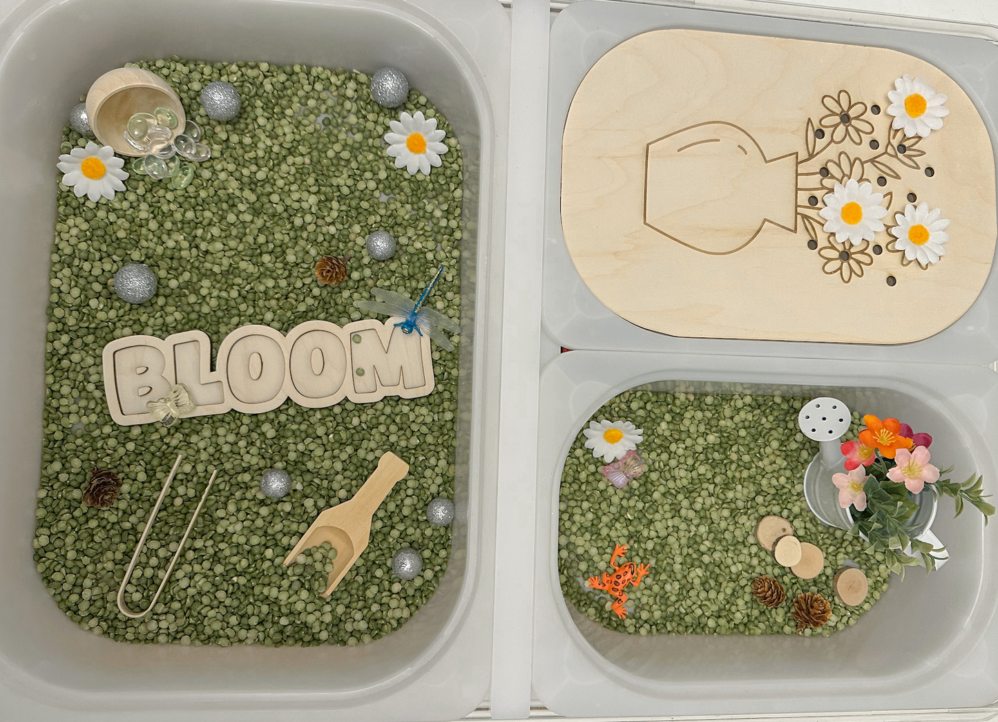 Bloom Bundle