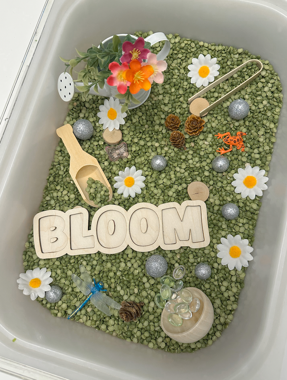 Bloom Bundle
