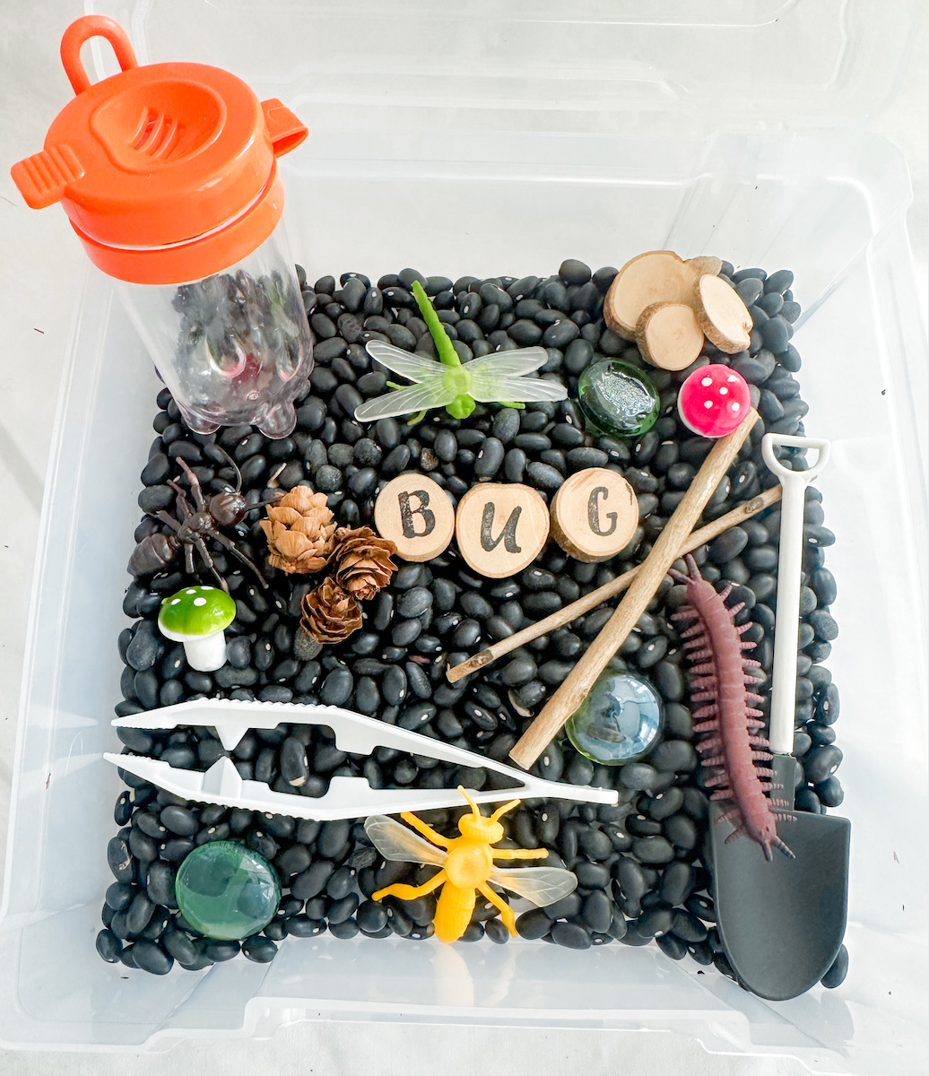 Insect Sensory Bin