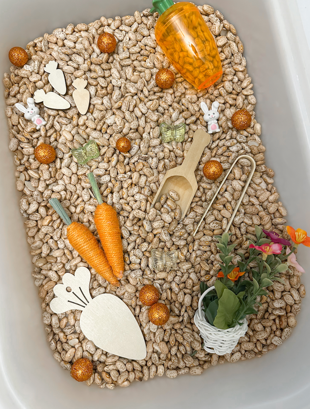 Carrot Patch